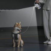 LumaLeash | Safe and effortless walks anytime