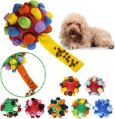 Interactive Sniffing Dog Toy (+Free Gift Included)