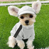 Free 2-5 DAY SHIPPING TODAY! Adjustable Pet Hat