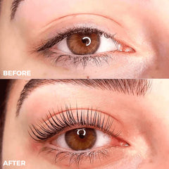 LashBliss™ – Wake Up to Irresistible, Attention-Grabbing Curls in Seconds