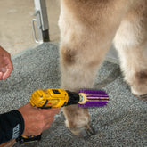 Roto Brush