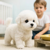 Bowie Robot Dog Toy | Lifelike Movements, Plush Design