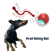 Clever ChewRoll Toy | Interactive Rolling Ball