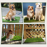 DwellTurf Indoor Dog Potty Mat | Washable Grass Relief Pads for Training