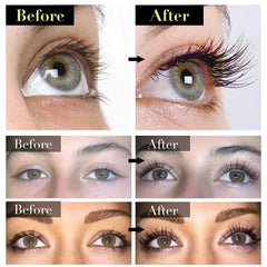 Lash Strength™ — Ignite Unstoppable Volume That Commands Attention Instantly