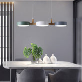Modern Metal Pendant Ceiling Light with Nordic Design for Kitchen and Living Room