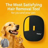 Pawswipe Reusable Fur & Lint Cleaning Gloves | Furniture, Clothing, Rugs & Car Seats