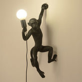 Quirky Resin Monkey Wall Light – Vintage-Inspired Pendant with Hemp Rope