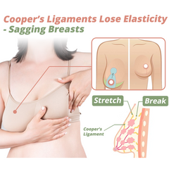 1+1 FREE | PlumpAmore™ Naturally Lift and Plump Your Breasts