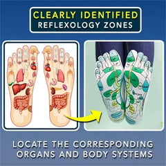 1+1 FREE | Zenfeet Socks™ Relieve Stress and Tension Starting From Your Feet