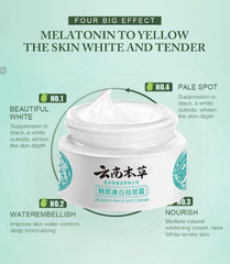 Whitening Freckle Cream Face Moisturizing Face Skin Care