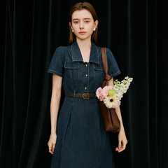 Camden Indigo Dress