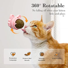 Catnip Balls Cat Treats: Fun, Healthy, and Irresistible for Your Cat 🐾 (3pcs)