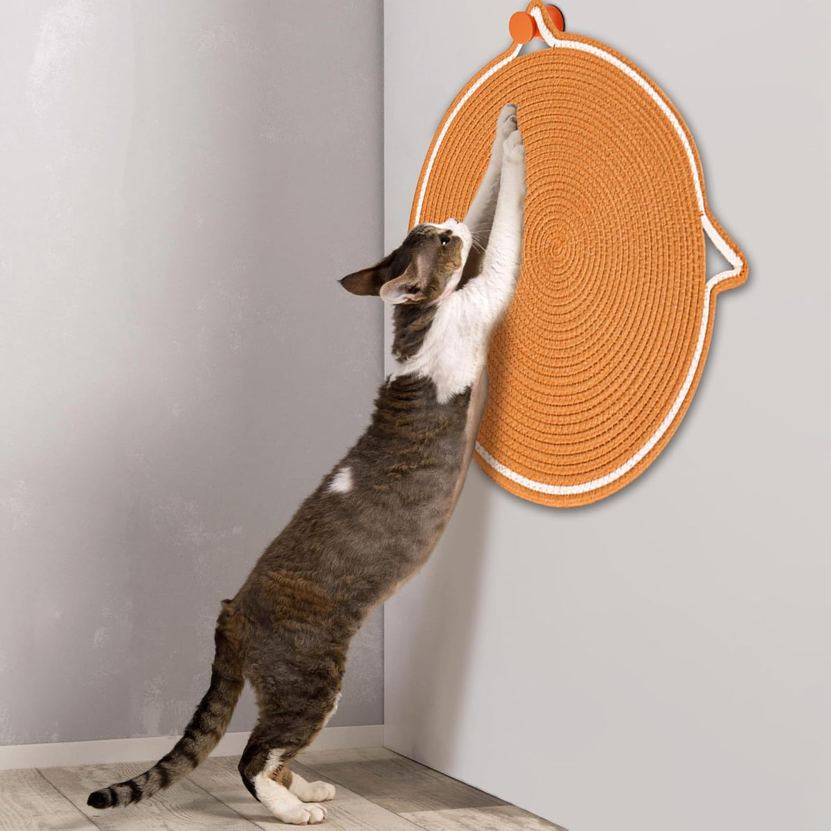 ClawMat | Protects Furniture While Entertaining Your Cat