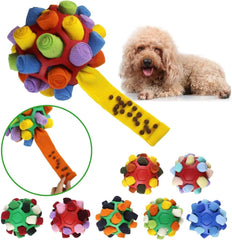 Interactive Sniffing Dog Toy (+Free Gift Included)