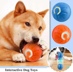 Keep Your Pets Happy and Active with BounceBuddy™ Smart Interactive Toy