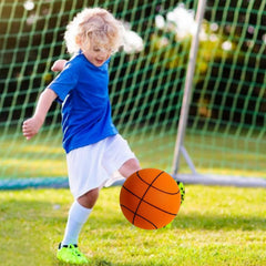 SOHOBLOO'S Silenz Basketball (Free Shipping TODAY!)