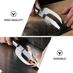 1+1 Free Today | Multi Functional Fish Scraper