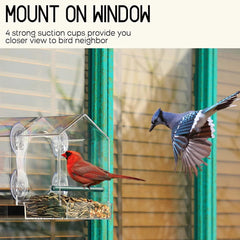 Breezy Window Bird Feeder | Clear Acrylic, Easy to Clean