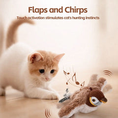Buzzy BirdBuddy Cat Toy | Interactive, USB Rechargeable