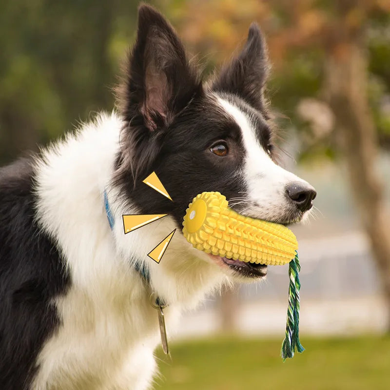 Corn Pet Dog Toy Puppy Teeth Cleaning Chew Training Dog Accessories Interactive Balls Toy Squeaky Bite Resistant Pet Supplies