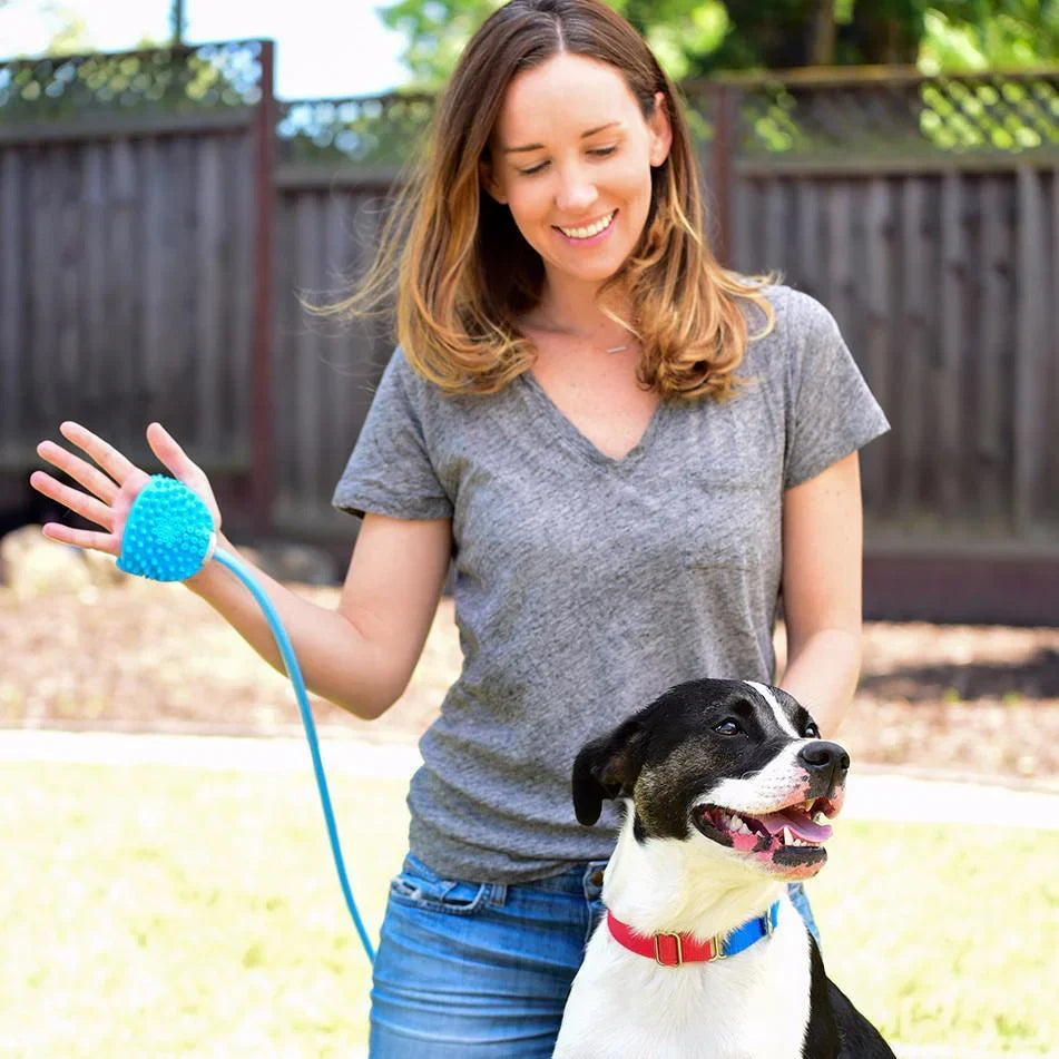 HydroPet™ Gentle Cleansing, Anytime, Anywhere – Perfect Bathing for Your Pet."