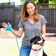 HydroPet™ Gentle Cleansing, Anytime, Anywhere – Perfect Bathing for Your Pet."