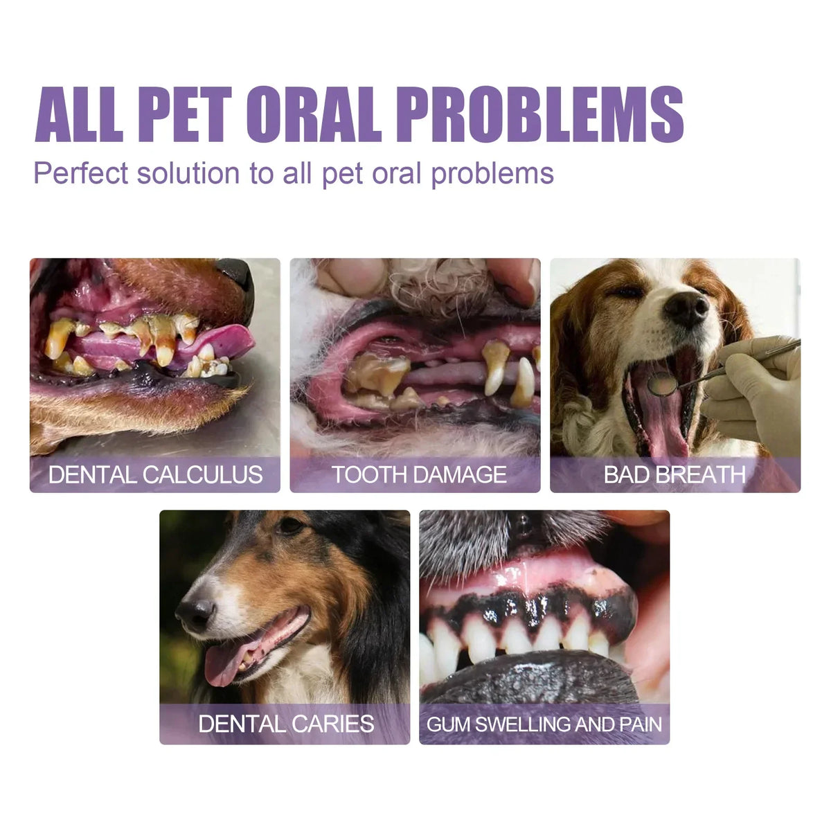 Pet Oral Care Gel for Dogs Cats Deep Cleaning Teeth Stain Remover Fresh Breath Dental Hygiene Plaque Control Water Additive