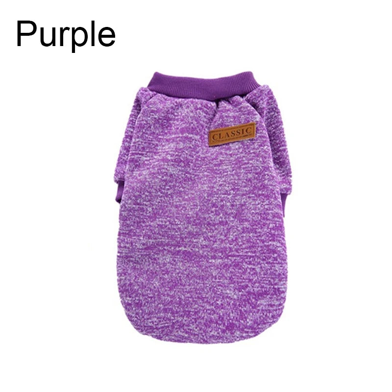 Casual Winter Sweatshirt for Small Dogs & Cats