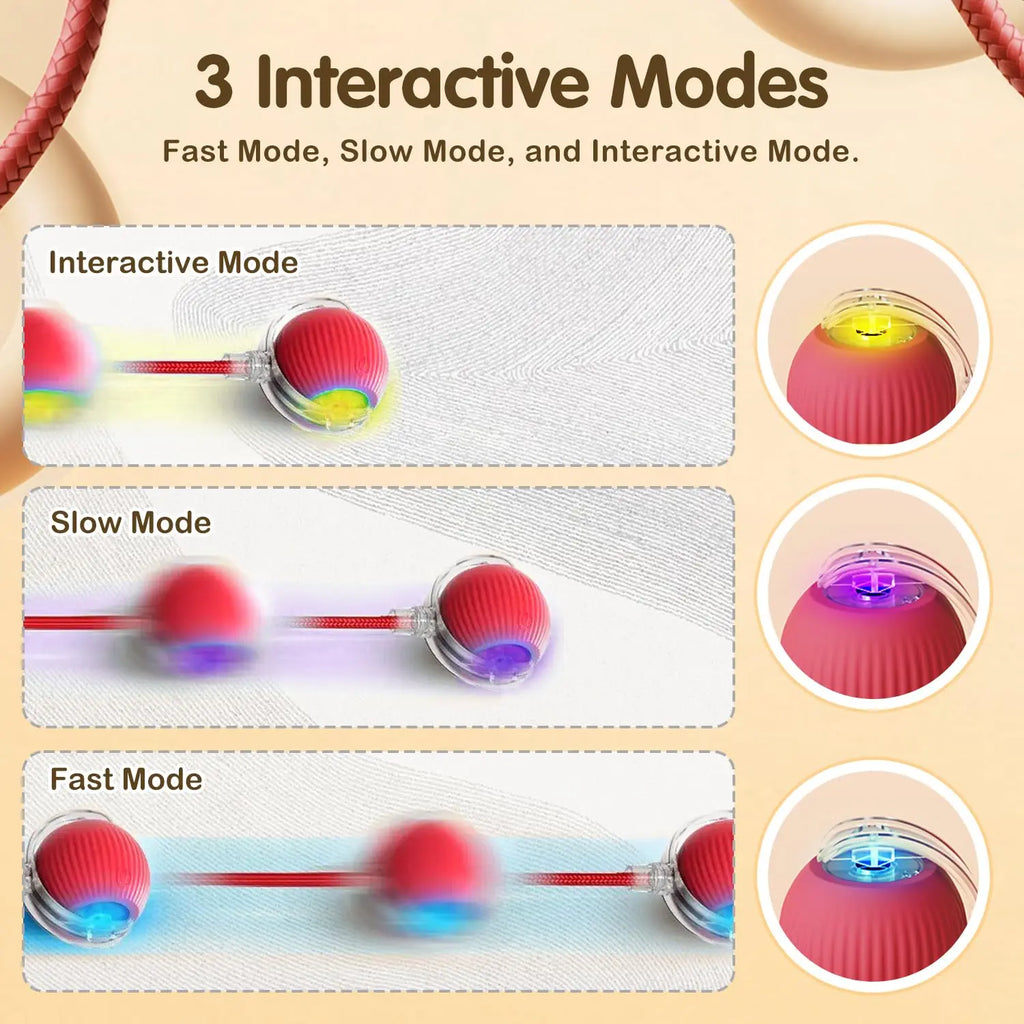 New Cat Interactive Ball Toy Automatic Rolling Ball Faux Tail Rechargeable Smart Pet Electric Toy Dog Cat Training Imitate Mouse