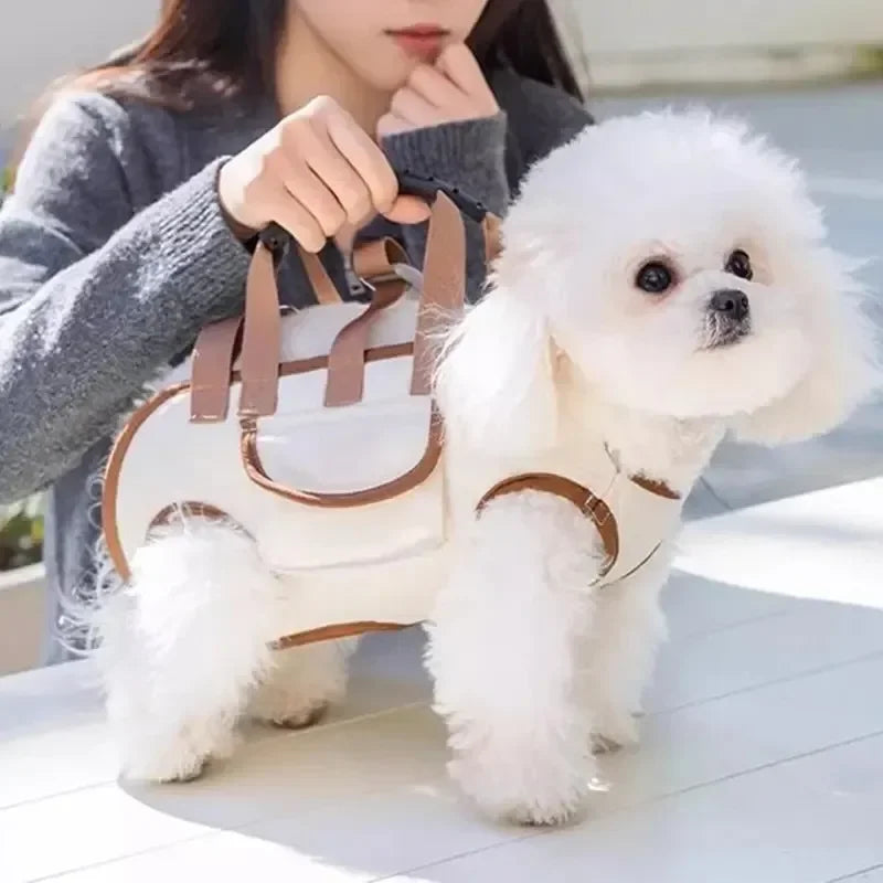 Small Dog Lift Harness Backpack Sling Carrier with Handle Leash Pet Carrying Box for Outdoor Walking Cats Supplies