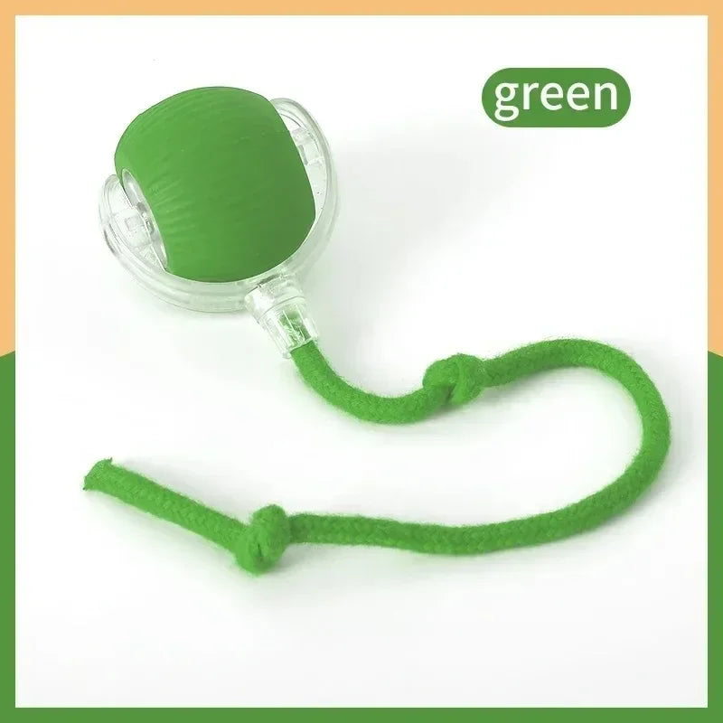 Automatic Rolling Ball Cat Toy