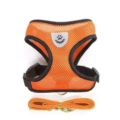 Breathable Mesh Cat and Small Dog Harness with Leash, S–XL