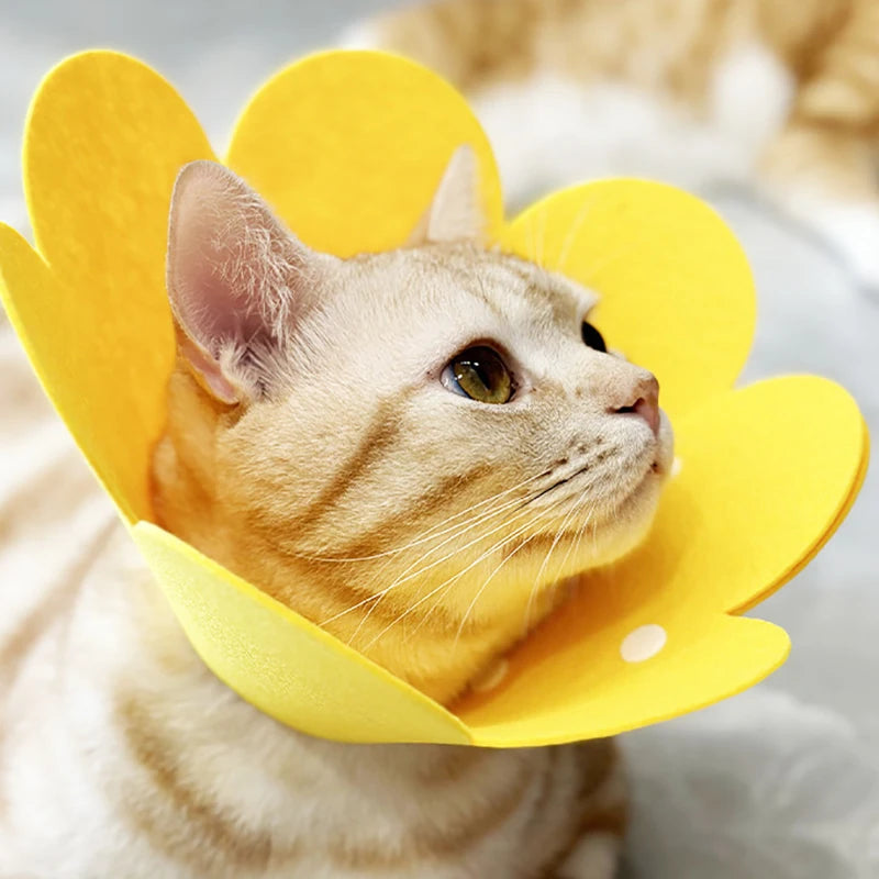 Adjustable Pet Recovery Cone Collar for Dogs and Cats