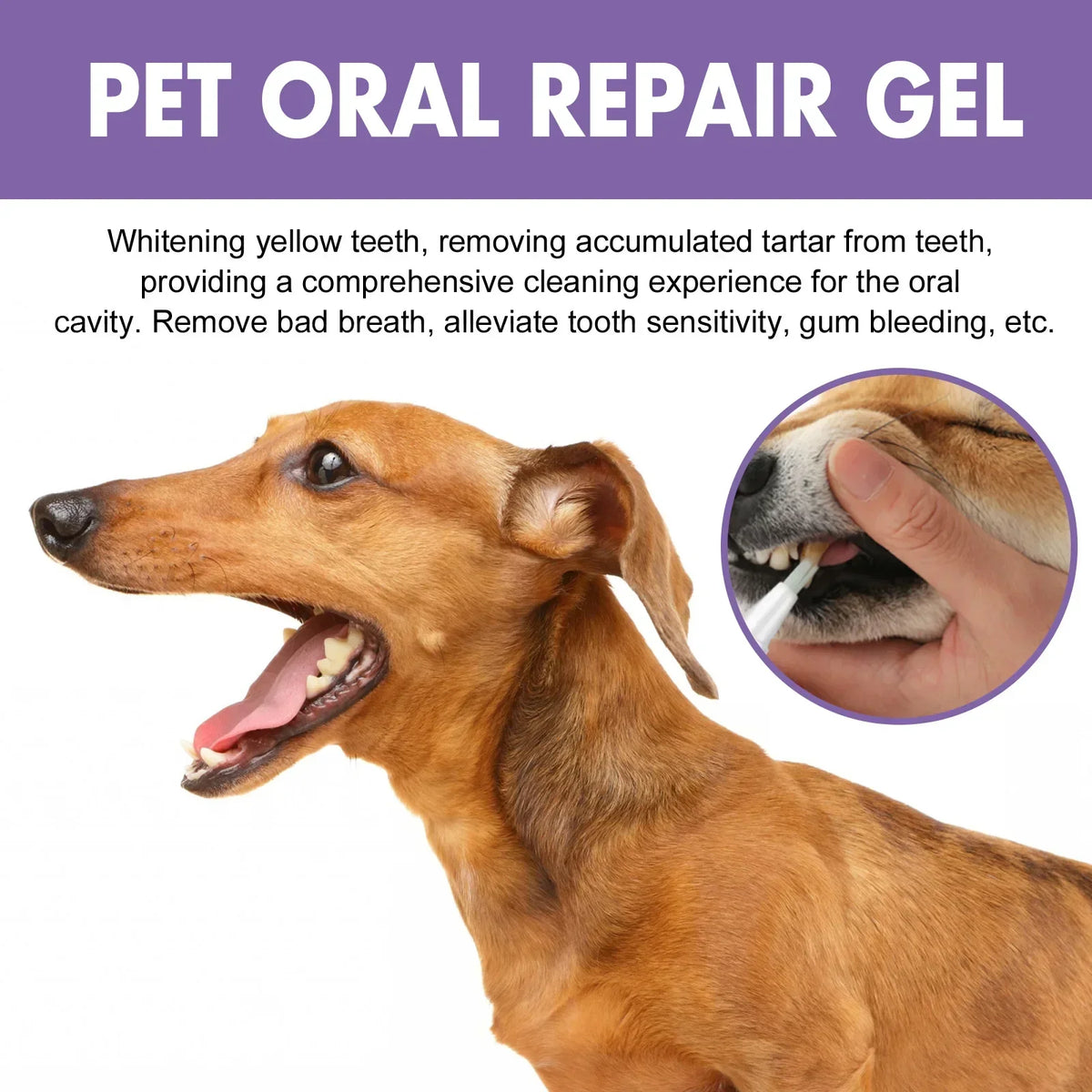 Pet Oral Care Gel for Dogs Cats Deep Cleaning Teeth Stain Remover Fresh Breath Dental Hygiene Plaque Control Water Additive