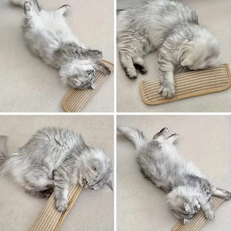 at Toy Game Pillow and Cat Scratching Pad for Solo Play and Intimate Interaction to Keep Your Feline Friend Happy and Soothing