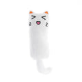 Crinkle Catnip Pillow Toy for Kittens and Cats