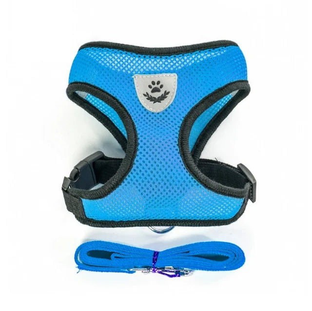 Breathable Mesh Cat and Small Dog Harness with Leash, S–XL