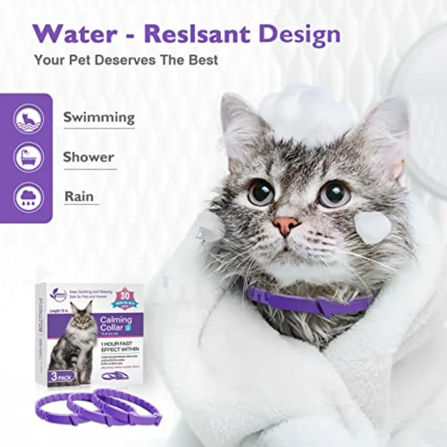 Breakaway Cloth Pet Collars, 3 Pack in Purple