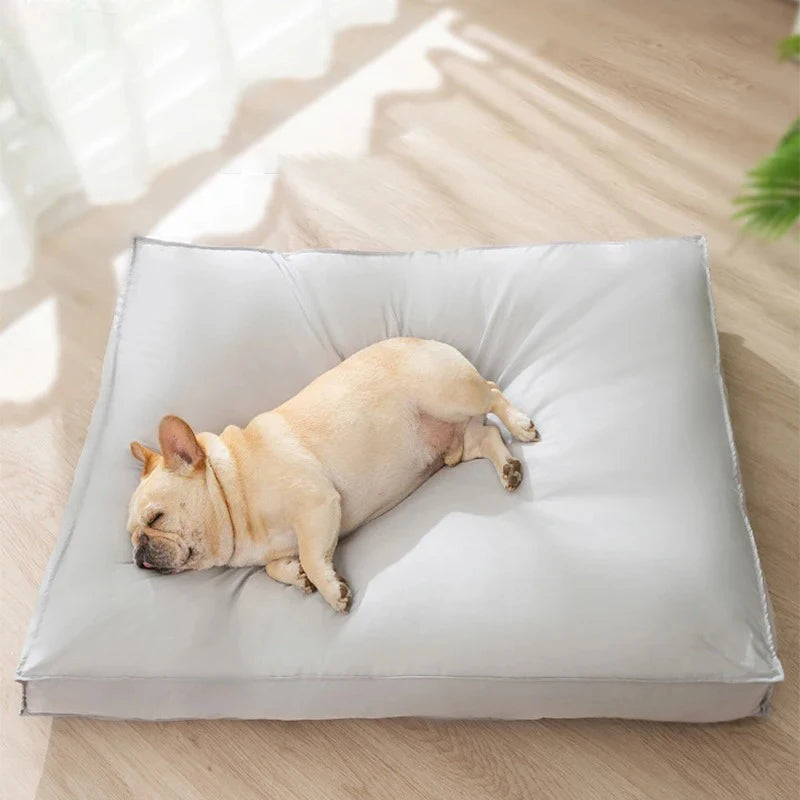 Soft Crate & Sofa Pet Bed Mat for Dogs and Cats, S–XL