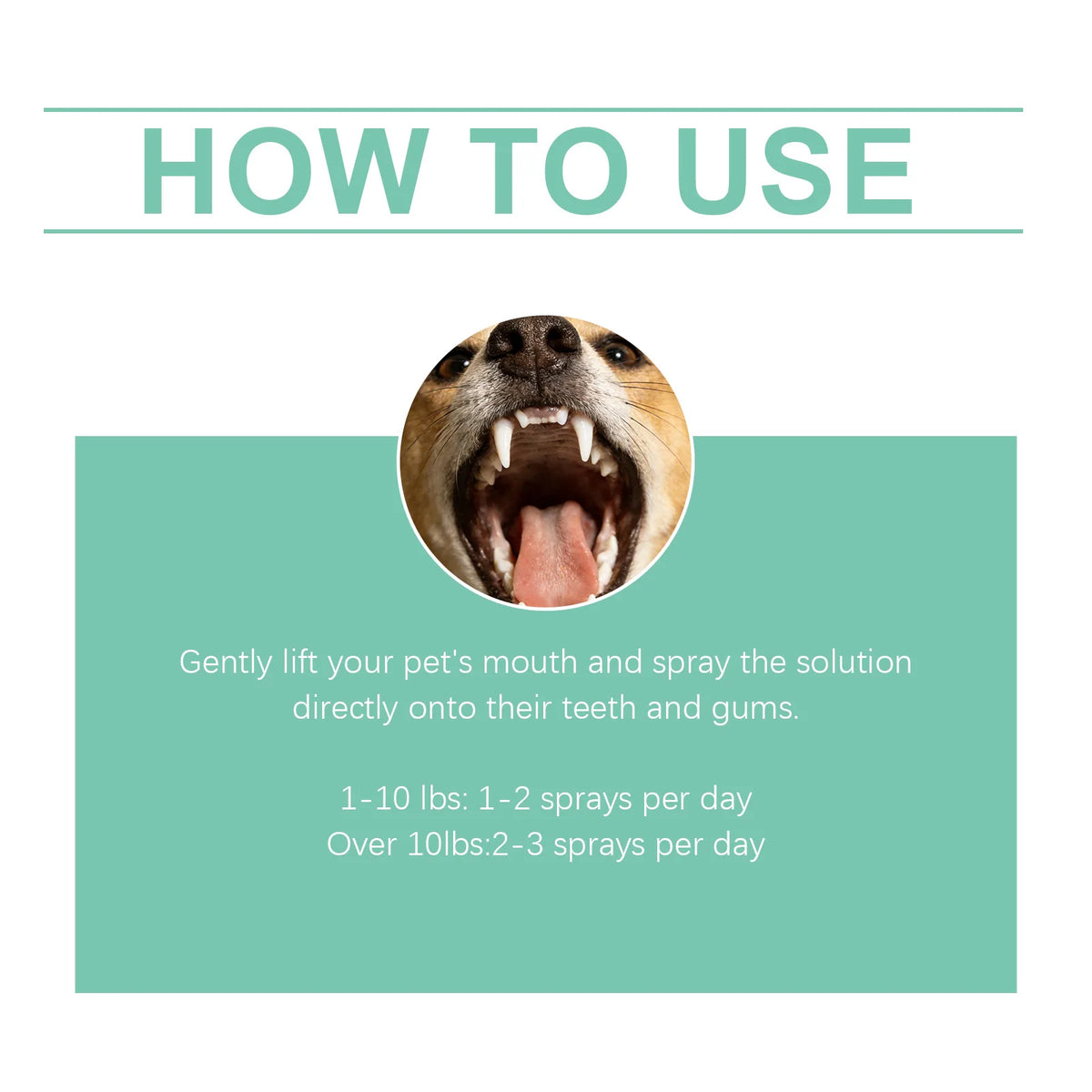 Pet Oral Spray - Fresh, Clean, Protective, Gentle, Effective and Plaque-Reducing for Cats and Dogs' Dental Hygiene
