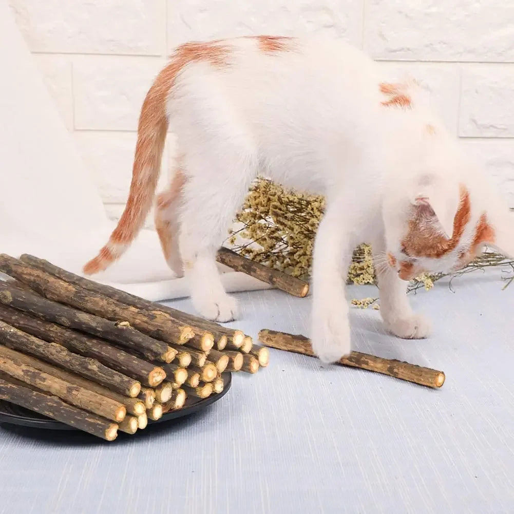 Natural Silvervine Matatabi Chew Sticks for Cats, 15 Pack