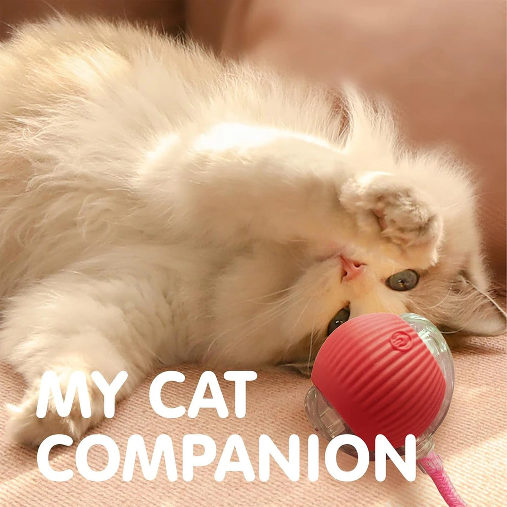 Dog Toy Rolling Ball Cat Rechargeable Interactive Dogs Toys Throwing Balls Cats Pussy