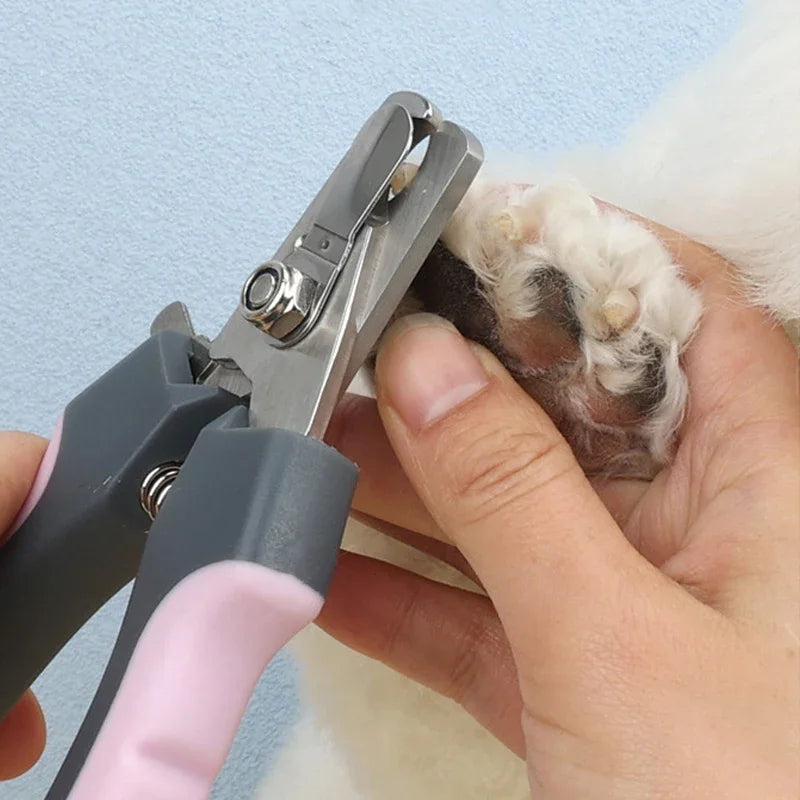 Stainless Steel Pet Nail Clippers with Comfortable Handles, S–L