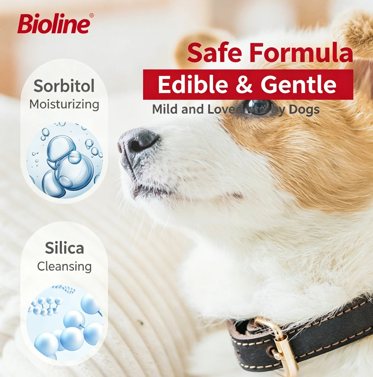 Pet Toothpaste for Dogs Fresh Breath Oral Cleaning Bad Breath Dental Plaque Cleaning Cat Care Edible Toothpaste