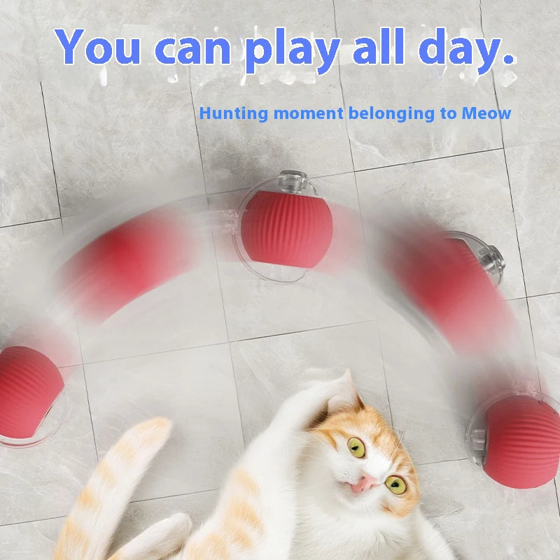 Rechargeable Rolling Teaser Ball Toy for Kittens & Cats