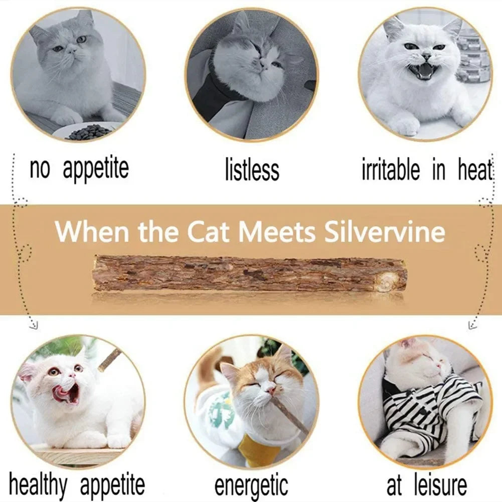 Natural Silvervine Matatabi Chew Sticks for Cats, 15 Pack