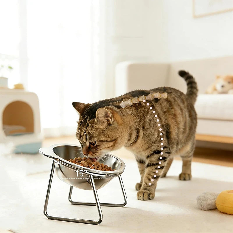 Stainless Steel Cat Bowl with Raised Metal Stand