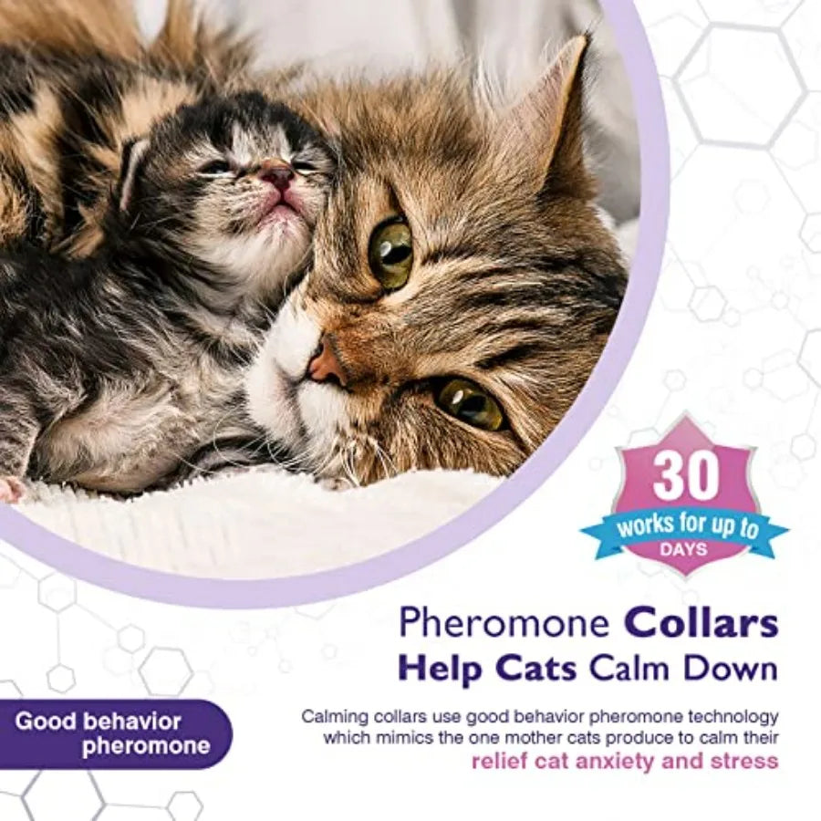 Breakaway Cloth Pet Collars, 3 Pack in Purple