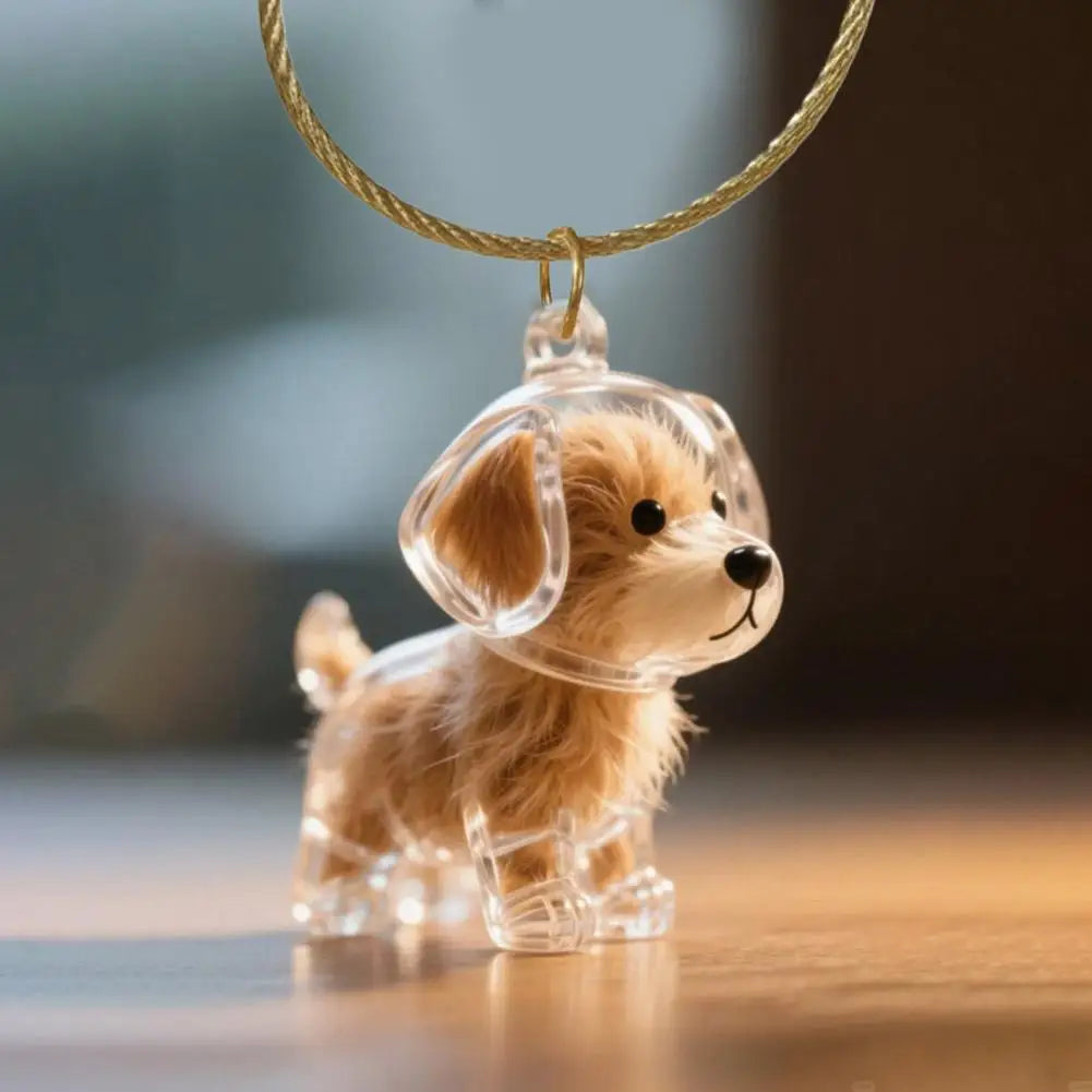 Dog Hair Storage Memorial Keepsake Pendant Backpack Keychain Pet Hair Fur Capsule Key Pendant Transparent Fur Collection Box